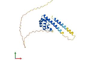 AlphaFold protein structure predicition of Human Recombinant SAMD12 Protein, UniprotID Q8N8I0