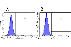 Flow-cytometry using anti-CCR3 antibody 5 E8-G9-B4   Human leukocytes were stained with an isotype control (panel A) or the rabbit-chimeric version of 5 E8-G9-B4 (panel B) at a concentration of 1 µg/ml for 30 mins at RT. (Rekombinanter CCR3 Antikörper)