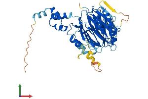 Protein Structure (PS) image for F-Box Protein 22 (FBXO22) (AA 1-403) protein (His tag) (ABIN7547670)