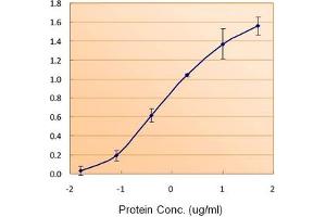 Image no. 3 for anti-Ferritin, Light Polypeptide (FTL) (C-Term), (Light Chain) antibody (ABIN375068) (FTL Antikörper  (C-Term, Light Chain))