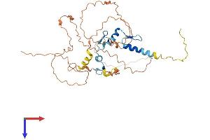 EGR3 Protein (AA 1-387) (His tag)
