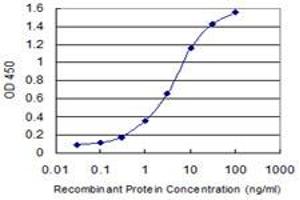 Detection limit for recombinant GST tagged NAPG is 0. (NAPG Antikörper  (AA 1-100))