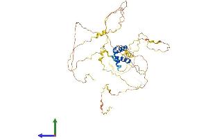 Protein Structure (PS) image for Iroquois Homeobox Protein 1 (IRX1) (AA 1-480) protein (His tag) (ABIN7548558)