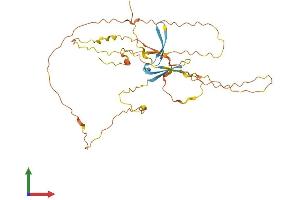 Protein Structure (PS) image for Keratin Associated Protein 29-1 (KRTAP29-1) (AA 1-342) protein (His tag) (ABIN7561865)