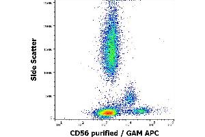 Flow cytometry surface staining pattern of human peripheral whole blood stained using anti-human CD56 (LT56) purified antibody (concentration in sample 2 μg/mL, GAM APC). (CD56 Antikörper)
