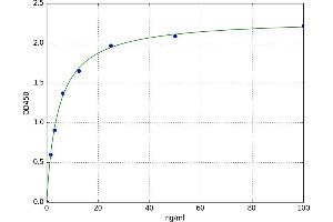 Protease, serine, 8 (PRSS8) ELISA Kit