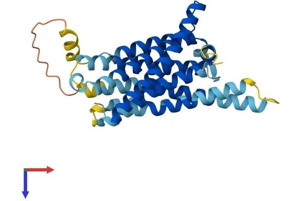 TAS2R9 Protein (AA 1-312) (His tag)