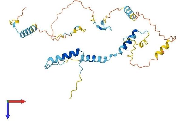 HYLS1 Protein (AA 1-299) (His tag)