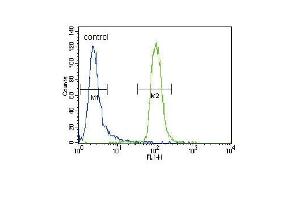 Flow Cytometry (FACS) image for anti-Muscle, Skeletal, Receptor Tyrosine Kinase (MUSK) (AA 829-859), (C-Term) antibody (ABIN392020)