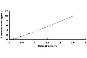 MLH3 ELISA Kit