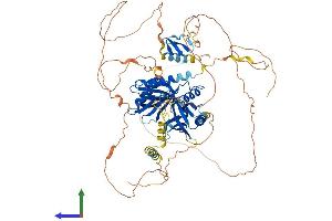 Protein Structure (PS) image for Amyloid beta (A4) Precursor Protein-Binding, Family B, Member 2 (APBB2) (AA 1-758) protein (His tag) (ABIN7552311)