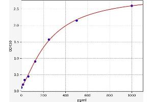 GJB2 ELISA Kit