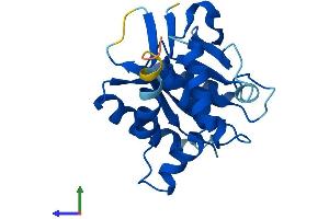 AlphaFold protein structure predicition of Mouse Recombinant Emc9 Protein, UniprotID Q9DB76