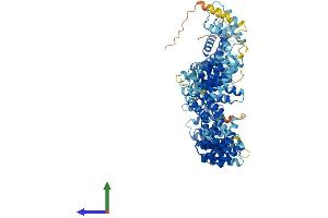 Protein Structure (PS) image for Testis Expressed 11 (TEX11) (AA 1-940) protein (His tag) (ABIN7555729)