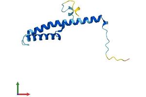 AlphaFold protein structure predicition of Human Recombinant NDUFC2-KCTD14 Protein, UniprotID E9PQ53 (NDUFC2-KCTD14 Protein (AA 1-114) (His tag))
