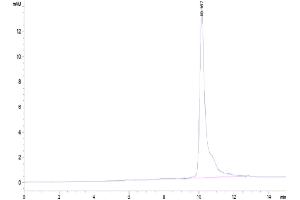 Size-exclusion chromatography-High Pressure Liquid Chromatography (SEC-HPLC) image for Interleukin 8 (IL8) (AA 28-99) protein (His tag) (ABIN7274974)