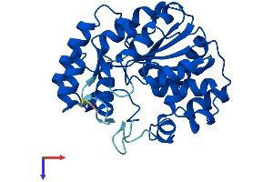 SULT2A1 Protein (AA 1-285) (His tag)