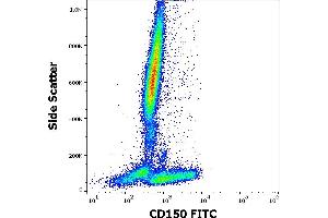 Flow cytometry surface staining pattern of human peripheral whole blood stained using anti-human CD150 (SLAM. (SLAMF1 Antikörper  (FITC))