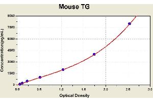 Diagramm of the ELISA kit to detect Mouse TGwith the optical density on the x-axis and the concentration on the y-axis.
