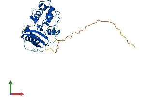 Protein Structure (PS) image for O6-Methylguanine-DNA-Methyltransferase (MGMT) (AA 1-207) protein (His tag) (ABIN7549405)