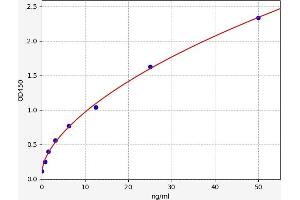 Typical standard curve (Septin 5 ELISA Kit)