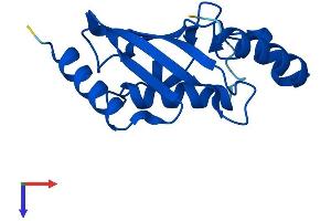 UBE2B Protein (AA 1-152) (His tag)