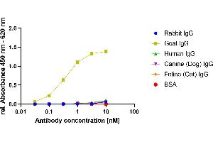 Goat IgG was coated on an ELISA plate at 100 ng. (Rekombinanter Maus anti-Ziege IgG Antikörper)