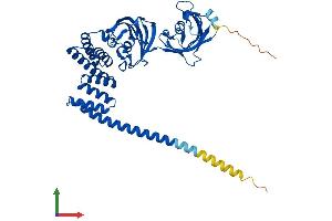 Protein Structure (PS) image for FK506 Binding Protein 5 (FKBP5) (AA 1-456) protein (His tag) (ABIN7557837)