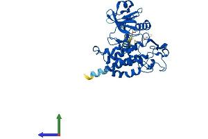 AlphaFold protein structure predicition of Human Recombinant POMK Protein, UniprotID Q9H5K3