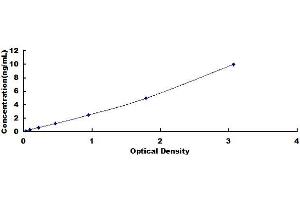 Typical standard curve (CD137 ELISA Kit)