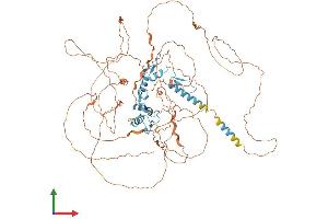 AlphaFold protein structure predicition of Mouse Recombinant Glis1 Protein, UniprotID Q8K1M4