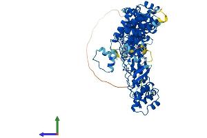 Protein Structure (PS) image for Fem-1 Homolog A (FEM1A) (AA 1-669) protein (His tag) (ABIN7547720)