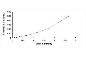 Typical standard curve