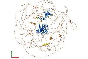 Protein Structure (PS) image for SH3 and Multiple Ankyrin Repeat Domains 2 (SHANK2) (AA 1-1476) protein (His tag) (ABIN7564306)