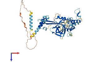 FBXO9 Protein (AA 1-447) (His tag)
