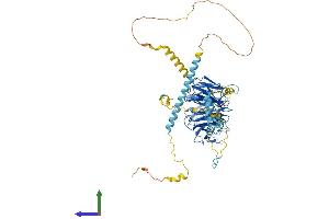 AlphaFold protein structure predicition of Human Recombinant WDR70 Protein, UniprotID Q9NW82