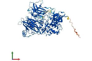 Protein Structure (PS) image for Dipeptidyl-Peptidase 9 (DPP9) (AA 1-862) protein (His tag) (ABIN7558925)