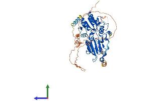 Protein Structure (PS) image for DNA Cross-Link Repair 1B (DCLRE1B) (AA 1-541) protein (His tag) (ABIN7564524)