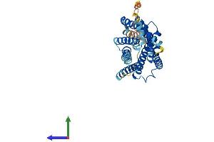 Protein Structure (PS) image for G Protein-Coupled Receptor 17 (GPR17) (AA 1-339) protein (His tag) (ABIN7557947)