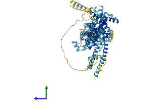 AlphaFold protein structure predicition of Human Recombinant TRPC1 Protein, UniprotID P48995