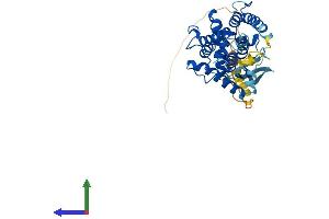 Protein Structure (PS) image for Parvin, beta (PARVB) (AA 1-365) protein (His tag) (ABIN7561455)