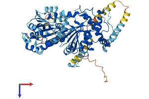 DDX55 Protein (AA 1-600) (His tag)