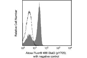 Flow Cytometry (FACS) image for anti-Signal Transducer and Activator of Transcription 3 (Acute-Phase Response Factor) (STAT3) (pTyr705) antibody (Alexa Fluor 488) (ABIN1177201) (STAT3 Antikörper  (pTyr705) (Alexa Fluor 488))