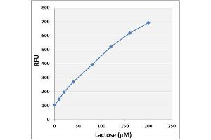 Lactose standard curve