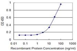 Detection limit for recombinant GST tagged REXO2 is 1 ng/ml as a capture antibody. (REXO2 Antikörper  (AA 101-210))