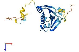 EIF4E3 Protein (AA 1-224) (His tag)