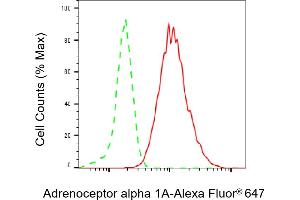 Flow cytometric analysis of Adrenoceptor alpha 1A expression in HepG2 cells using Adrenoceptor alpha 1A antibody (ABIN7797539), 1:2,000). (Rekombinanter alpha 1 Adrenergic Receptor Antikörper)