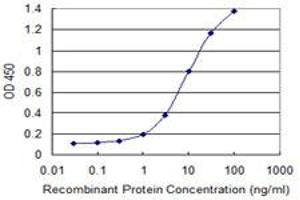 Detection limit for recombinant GST tagged ATF1 is 0. (AFT1 Antikörper  (AA 1-271))