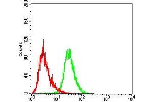 Flow cytometric analysis of THP-1 cells using CD5 mouse mAb (green) and negative control (red). (CD5 Antikörper  (AA 403-495))