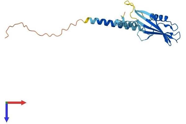 AKAP14 Protein (AA 1-197) (His tag)